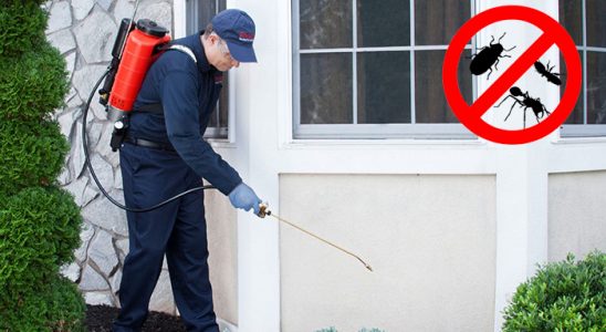 Çekerek Uçan Haşere İlaçlama böcek ilaçlama ve haşere kontrolü — ilaclama-tr.com